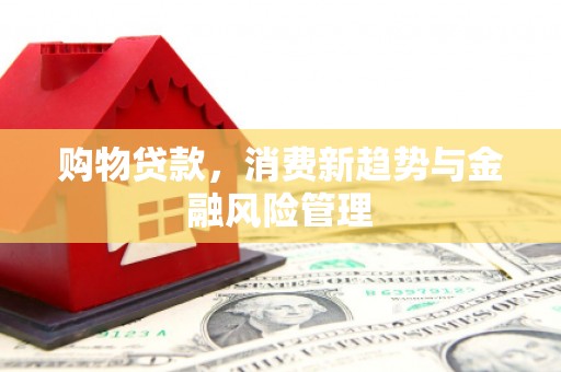 开阳购物贷款，消费新趋势与金融风险管理