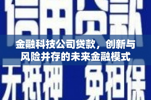 开阳金融科技公司贷款，创新与风险并存的未来金融模式