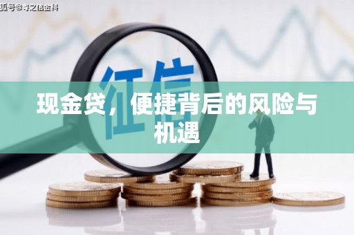 开阳现金贷，便捷背后的风险与机遇