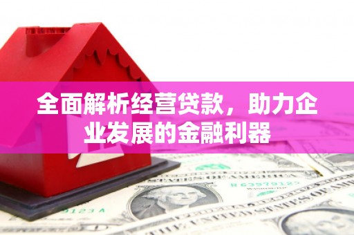 开阳全面解析经营贷款，助力企业发展的金融利器