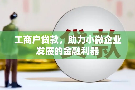 开阳工商户贷款，助力小微企业发展的金融利器