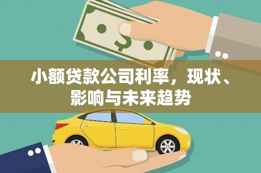 开阳小额贷款公司利率，现状、影响与未来趋势