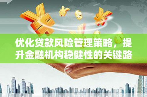 开阳优化贷款风险管理策略，提升金融机构稳健性的关键路径