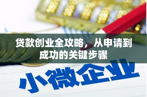 开阳贷款创业全攻略，从申请到成功的关键步骤