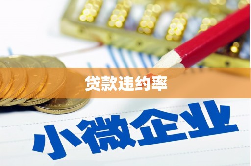 开阳贷款违约率