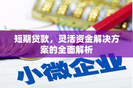 开阳短期贷款，灵活资金解决方案的全面解析