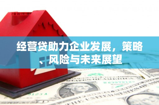 开阳经营贷助力企业发展，策略、风险与未来展望