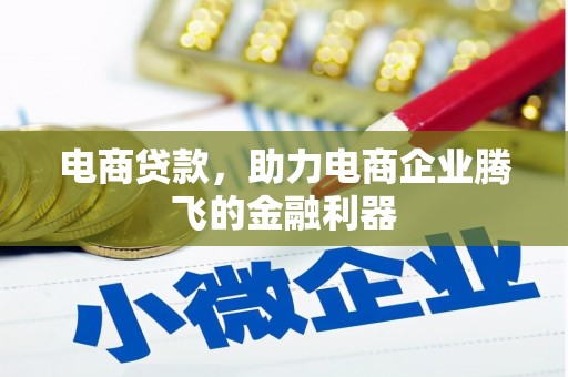 开阳电商贷款，助力电商企业腾飞的金融利器