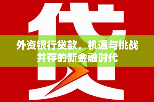 开阳外资银行贷款，机遇与挑战并存的新金融时代