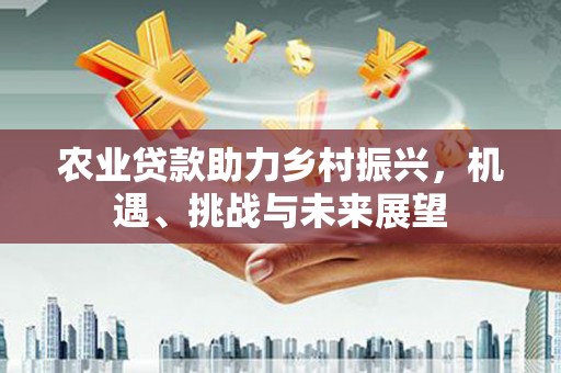 开阳农业贷款助力乡村振兴，机遇、挑战与未来展望
