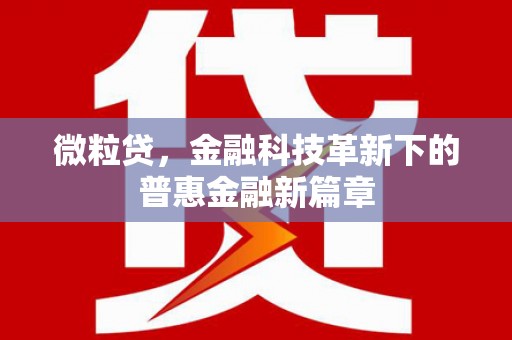 开阳微粒贷，金融科技革新下的普惠金融新篇章