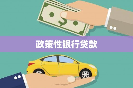 开阳政策性银行贷款