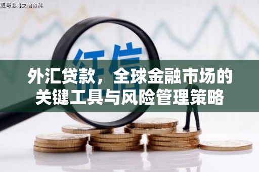 开阳外汇贷款，全球金融市场的关键工具与风险管理策略