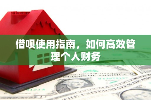 开阳借呗使用指南，如何高效管理个人财务