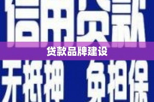 开阳贷款品牌建设