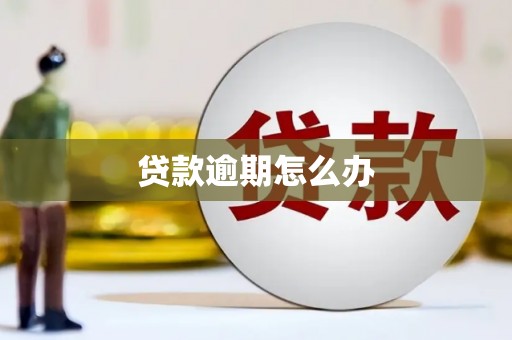 开阳贷款逾期怎么办
