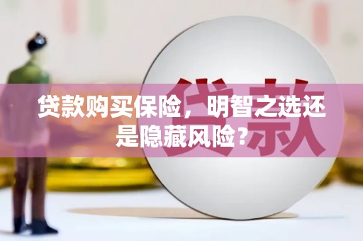 开阳贷款购买保险，明智之选还是隐藏风险？