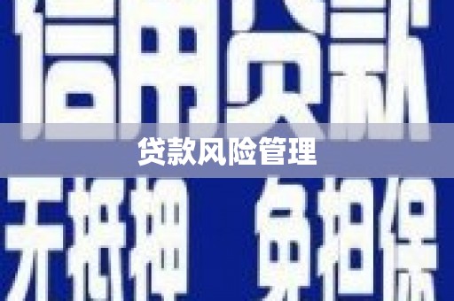开阳贷款风险管理