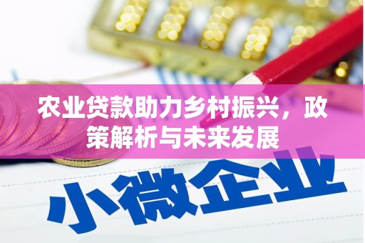 开阳农业贷款助力乡村振兴，政策解析与未来发展