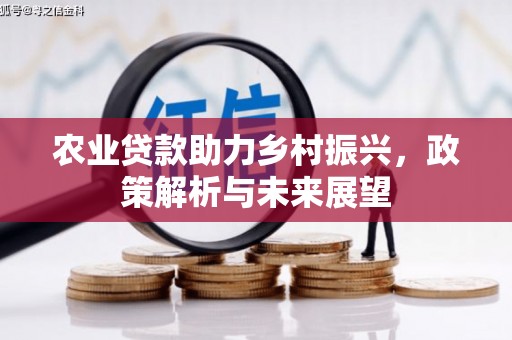 开阳农业贷款助力乡村振兴，政策解析与未来展望