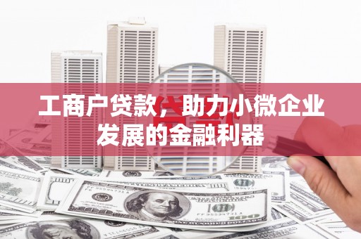 开阳工商户贷款，助力小微企业发展的金融利器