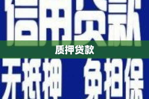 开阳质押贷款