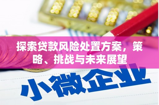 开阳探索贷款风险处置方案，策略、挑战与未来展望