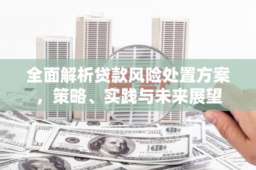 开阳全面解析贷款风险处置方案，策略、实践与未来展望