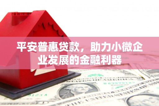 开阳平安普惠贷款，助力小微企业发展的金融利器