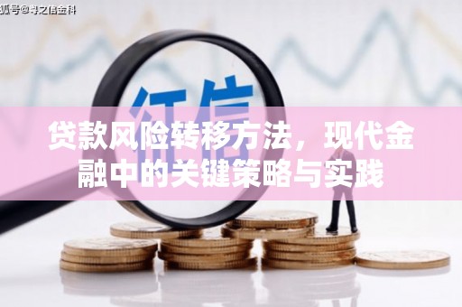 开阳贷款风险转移方法，现代金融中的关键策略与实践