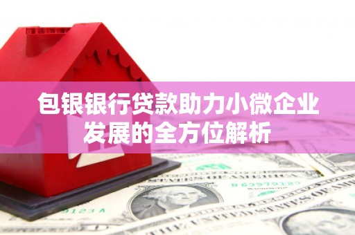 开阳包银银行贷款助力小微企业发展的全方位解析