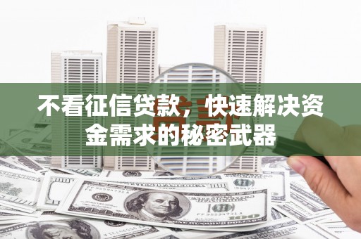 开阳不看征信贷款，快速解决资金需求的秘密武器