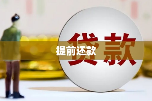 开阳提前还款
