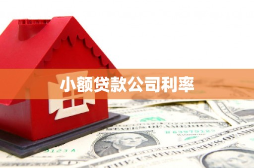 开阳小额贷款公司利率