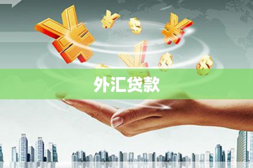 开阳外汇贷款
