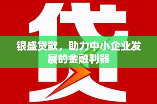 开阳银盛贷款，助力中小企业发展的金融利器