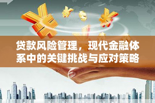 开阳贷款风险管理，现代金融体系中的关键挑战与应对策略