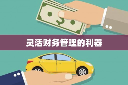 开阳灵活财务管理的利器