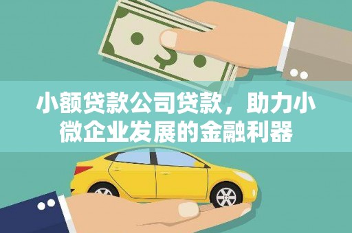 开阳小额贷款公司贷款，助力小微企业发展的金融利器