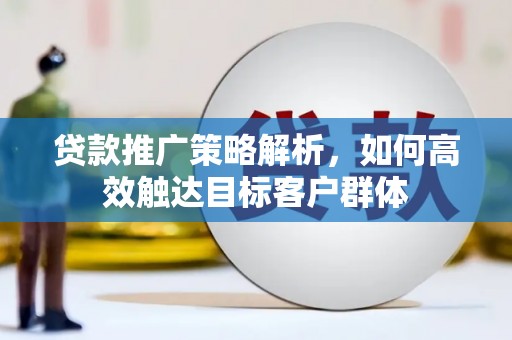 开阳贷款推广策略解析，如何高效触达目标客户群体
