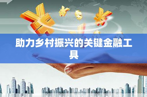 开阳助力乡村振兴的关键金融工具