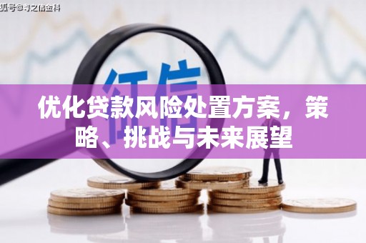 开阳优化贷款风险处置方案，策略、挑战与未来展望