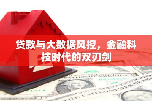 开阳贷款与大数据风控，金融科技时代的双刃剑
