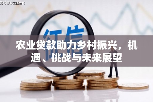 开阳农业贷款助力乡村振兴，机遇、挑战与未来展望