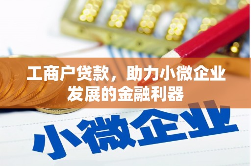 开阳工商户贷款，助力小微企业发展的金融利器