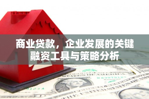 开阳商业贷款，企业发展的关键融资工具与策略分析