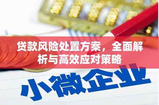 开阳贷款风险处置方案，全面解析与高效应对策略