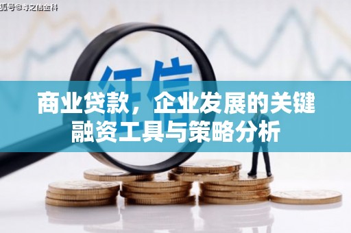 开阳商业贷款，企业发展的关键融资工具与策略分析