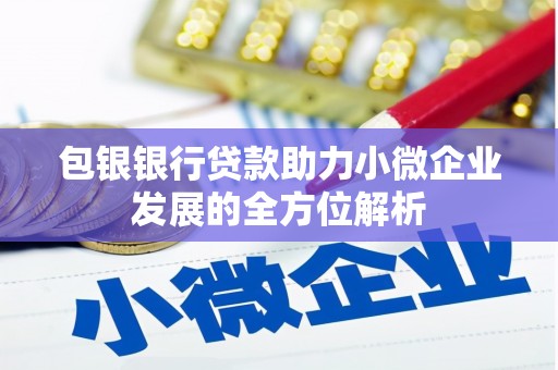 开阳包银银行贷款助力小微企业发展的全方位解析