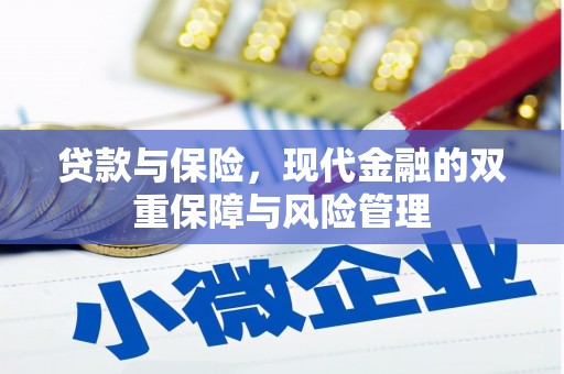 开阳贷款与保险，现代金融的双重保障与风险管理